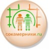 Значок "Сокамерники.ru"