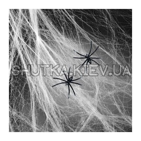 Паутина цветная с пауками фото 1 — Shutka